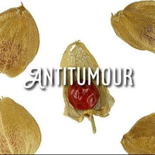 Load image into Gallery viewer, McC Organic ~ ashwagandha capsules