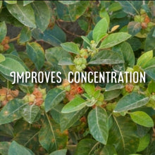 Load image into Gallery viewer, McC Organic ~ ashwagandha capsules