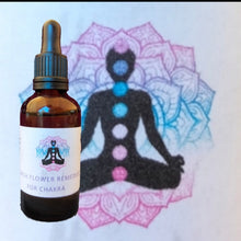 Load image into Gallery viewer, McC Organic ~ Bach flower remedies for Chakra