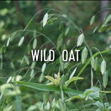 Load image into Gallery viewer, McC Organic ~ Bach flower remedies for Chakra