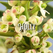 Load image into Gallery viewer, McC Organic ~ Bach flower remedies for Chakra