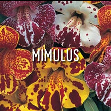 Load image into Gallery viewer, McC Organic ~ Bach flower remedies for Chakra