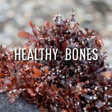 Load image into Gallery viewer, McC Organic ~ Irish sea moss & bladderwrack capsules