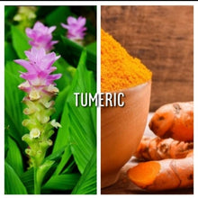 Load image into Gallery viewer, McC Organic ~ turmeric & black pepper capsules