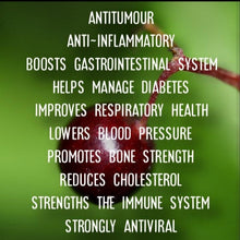 Load image into Gallery viewer, McC Organic ~ elderberry tonic 500mg full spectrum