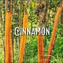 Load image into Gallery viewer, McC Organic ~ elderberry tonic 500mg full spectrum