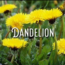 Load image into Gallery viewer, McC Organic full spectrum salve