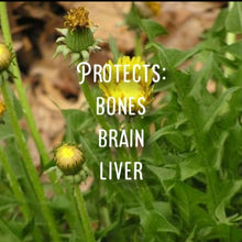 Load image into Gallery viewer, McC Organic ~ Té Especial estrogen balance tea