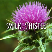 Load image into Gallery viewer, McC Organic ~ Té Especial estrogen balance tea