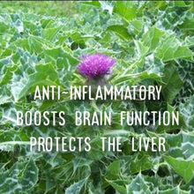 Load image into Gallery viewer, McC Organic ~ Té Especial estrogen balance tea