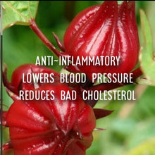 Load image into Gallery viewer, McC Organic ~ Té Especial blood pressure & cholesterol lowering tea