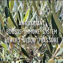 Load image into Gallery viewer, McC Organic ~ Té Especial blood pressure & cholesterol lowering tea