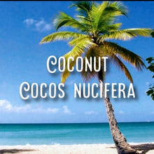 Load image into Gallery viewer, McC Organic ~ natural toothpaste