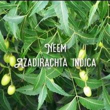 Load image into Gallery viewer, McC Organic ~ insect repellent essential oil roller