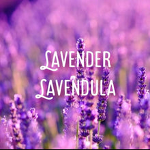 Load image into Gallery viewer, McC Organic ~ insect repellent essential oil roller