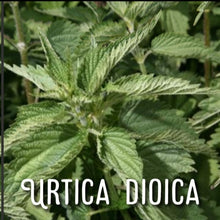 Load image into Gallery viewer, McC Organic ~ Té Especial anticystitis tea