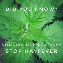 Load image into Gallery viewer, McC Organic ~ Té Especial ladies' hormone balancing tea