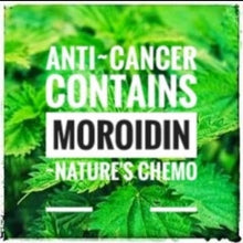 Load image into Gallery viewer, McC Organic ~ Té Especial ladies' hormone balancing tea