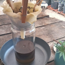 Load image into Gallery viewer, killer kush virgin oil ~ now available for immediate delivery