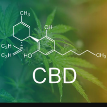 Load image into Gallery viewer, Hemporium Organics ~ CBD hand cream