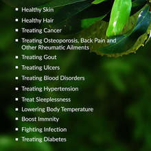 Load image into Gallery viewer, McC Organic ~ sea moss gel