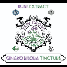 Load image into Gallery viewer, Yew Grove Apothecary ~ ginkgo tincture