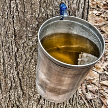 Load image into Gallery viewer, McC Organic ~ infused vanilla kush maple syrup