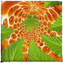 Load image into Gallery viewer, McC Organic ~ infused immortal flower honey