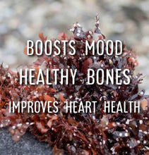 Load image into Gallery viewer, McC Organic ~ sea moss gel