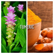 Load image into Gallery viewer, McC Organic ~ sea moss gel