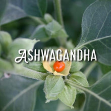 Load image into Gallery viewer, McC Organic ~ sea moss gel