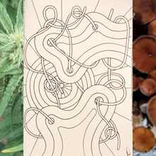 Load image into Gallery viewer, Noush's Arts & Crafts ~ hand drawn colouring book 1