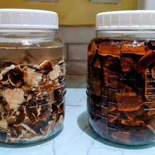 Load image into Gallery viewer, Yew Grove Apothecary ~ turkey tail tincture