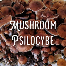 Load image into Gallery viewer, Organic CannaConfectioner ~ dark chocolate macrodose mushroom bar
