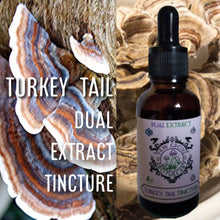 Load image into Gallery viewer, Yew Grove Apothecary ~ turkey tail tincture
