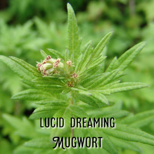 McC Organic ~ natural smoking blend ~ lucid lullaby