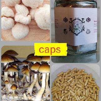 Yew Grove Apothecary ~ mushroom capsule 100mg