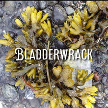 Load image into Gallery viewer, McC Organic ~ Irish sea moss &amp; bladderwrack capsules
