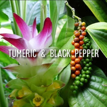 Load image into Gallery viewer, McC Organic ~ turmeric &amp; black pepper capsules
