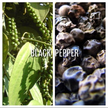 Load image into Gallery viewer, McC Organic ~ turmeric &amp; black pepper capsules
