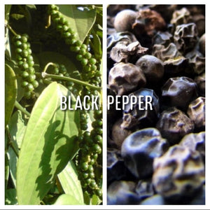 McC Organic ~ turmeric & black pepper capsules