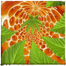 Load image into Gallery viewer, McC Organic ~ infused immortal flower honey
