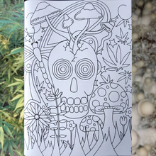 Load image into Gallery viewer, Noush&#39;s Arts &amp; Crafts  ~ psychedelic stoner colouring book
